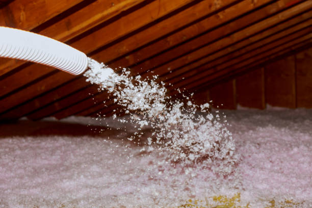 Best Commercial Insulation in Red Bank, SC